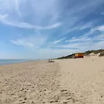 Bohan Bo * Kilmuckridge (Wexford)