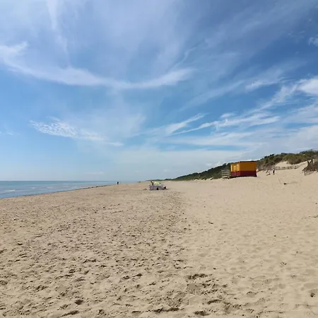 Bohan Bo * Kilmuckridge (Wexford)